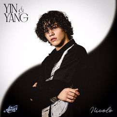 Nicolò Filippucci: Yin e Yang