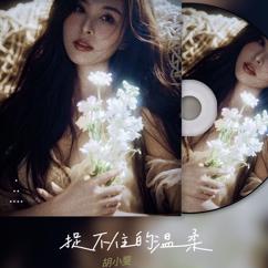 胡小斐: 捉不住的溫柔