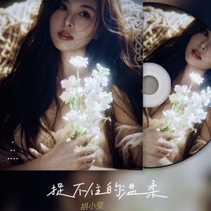 胡小斐: 捉不住的溫柔