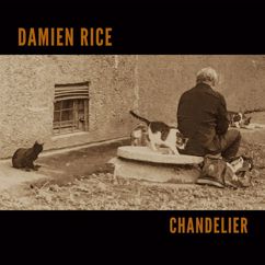 Damien Rice: Chandelier