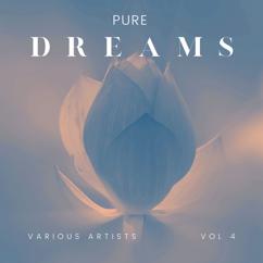 Various Artists: Pure Dreams, Vol. 4