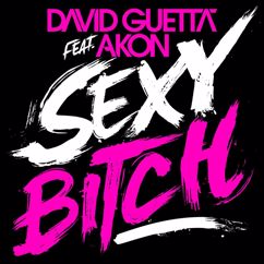 David Guetta: Sexy Bitch (feat. Akon) (Chuckie & Lil Jon Remix)