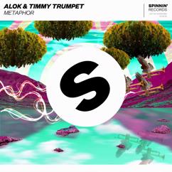 Alok, Timmy Trumpet: Metaphor
