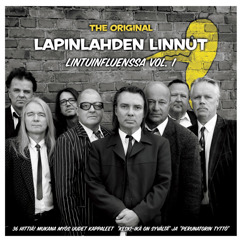 Lapinlahden Linnut: Ojasta Noustaan