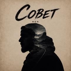 NDN: Совет