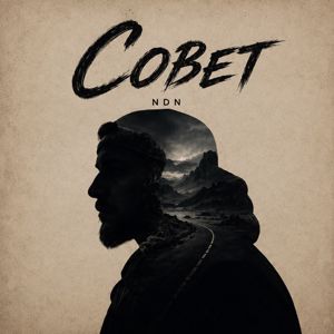NDN: Совет