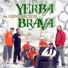 Yerba Brava: 4ta Generación