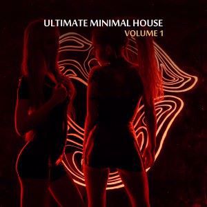 Various Artists: Ultimate Minimal House, Vol. 1
