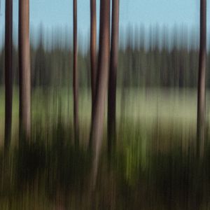 Viljami Kukkonen: Yölaulaja