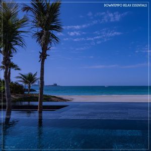 Various Artists: Downtempo Relax Essentials