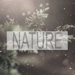 Nature Sounds: A River in Winter