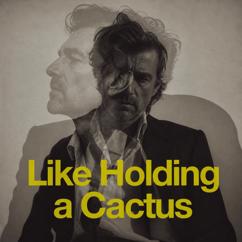 Trenton: Like Holding a Cactus