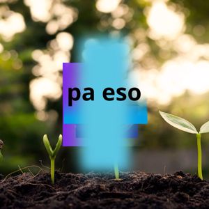 manuel fucil: pa eso