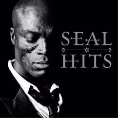 Seal: Amazing
