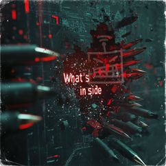 AntzoR: What's Inside