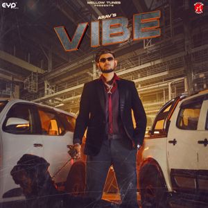 Arav: Vibe