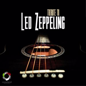 Studio Sound Group: A Tribute to Led Zeppelin