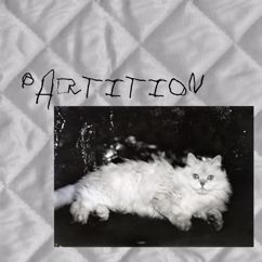 Misc.inc: Partition