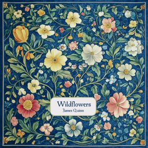James Quinn: Wildflowers