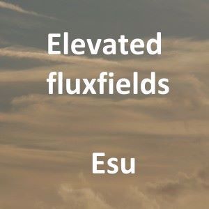 Elevated Fluxfields: Esu