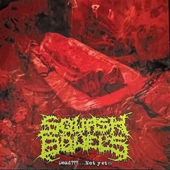 Squash Bowels: The grind core-spondent