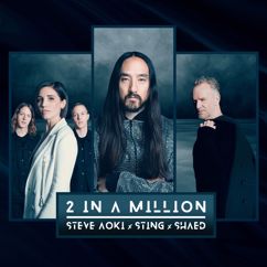 Steve Aoki, Sting & SHAED: 2 In A Million