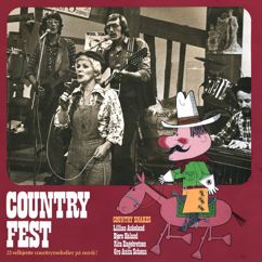 Country Snakes: Steelguitar Rag