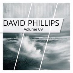 David Phillips: Dew on the Roses