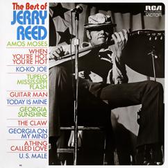 Jerry Reed: Tupelo Mississippi Flash