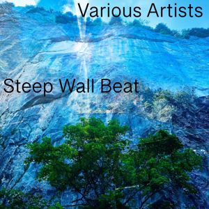 Various Artists: Steep Wall Beat