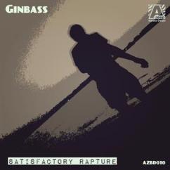 Ginbass: Next to Last (Original Mix)