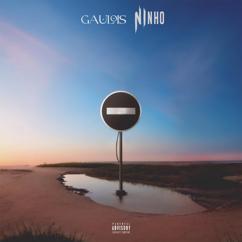 GAULOIS feat. Ninho: Sens interdit