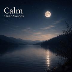 Nox Z & Wolfgang Amadeus Mozart & Ludwig van Beethoven & Johann Sebastian Bach: Calm Sleep Sounds