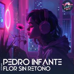 LoFi HITS, High and Low HITS, Pedro Infante: Flor Sin Retoño (LoFi)