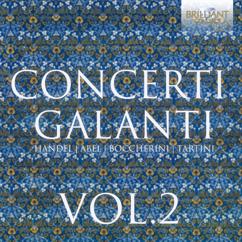 Swedish Chamber Orchestra & Patrick Gallois: Flute Concerto No. 2 in D Major: I. Allegro