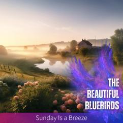 The Beautiful Bluebirds: Quiet Corners Chat Anthem