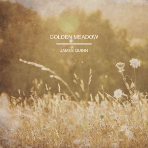 James Quinn: Golden Meadow