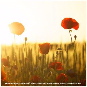 Various Artists: Morning Relaxing Music, Piano, Positive, Study, Sleep, Focus, Concentration