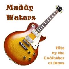 Muddy Waters: Hard Day Blues