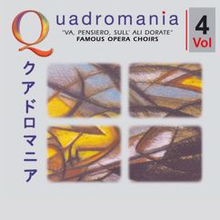 Various Artists: Flotow & Lortzing & Mozart & Weber: Va, Pensiero, Sull' Ali Dorate - Famous Opera Choirs Vol. 4