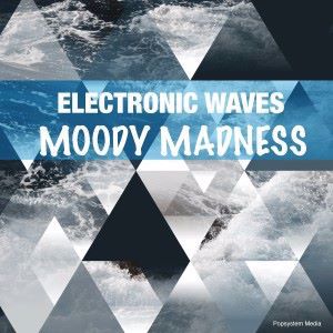 Various Artists: Electronic Waves Moody Madness