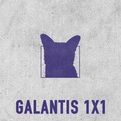 Galantis: 1x1