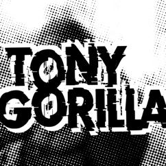 Tony Gorilla: What I Wanna Do