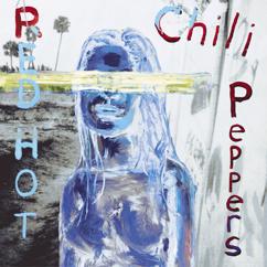 Red Hot Chili Peppers: Universally Speaking