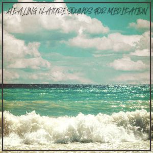 Various Artists: Healing Nature Sounds for Meditation