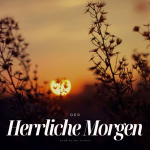 Entspannings und Schlaf Musik: Der Herrliche Morgen