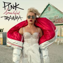 P!NK: Wild Hearts Can't Be Broken