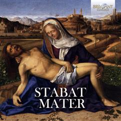 Camerata Ligure, Alessandro Stradella Consort & Estevan Velardi: Stabat mater in C Minor: XI. Fac me plagis vulnerary. Adagio alto, tenor, chorus