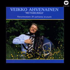 Veikko Ahvenainen: Yölintu