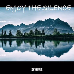 Various Artists: Enjoy the Silence